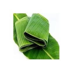 .HOJA PLATANO CONGELADA 454 G