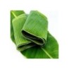 .HOJA PLATANO CONGELADA 454 G