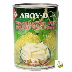 JACKFRUIT VERDE AROY-D 565...